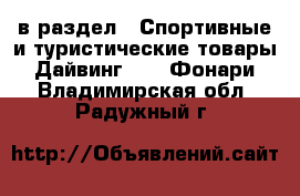  в раздел : Спортивные и туристические товары » Дайвинг »  » Фонари . Владимирская обл.,Радужный г.